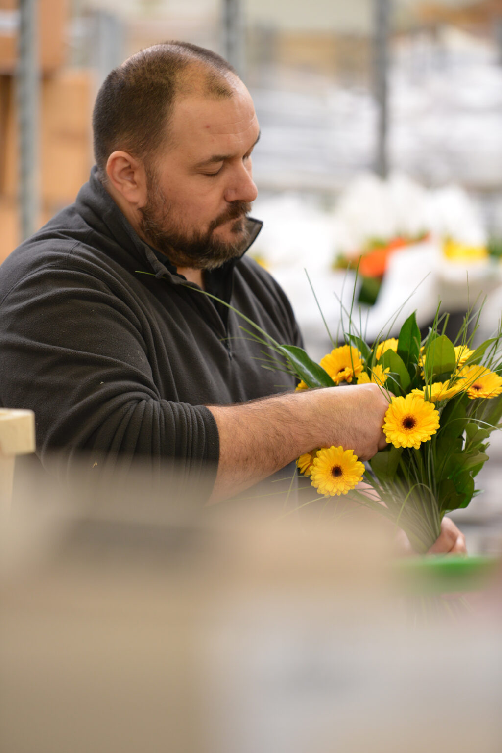 Europlantes une équipe experte du retail au coeur en Wallonie, Région bruxelloise et Grand-Duché du Luxembourg