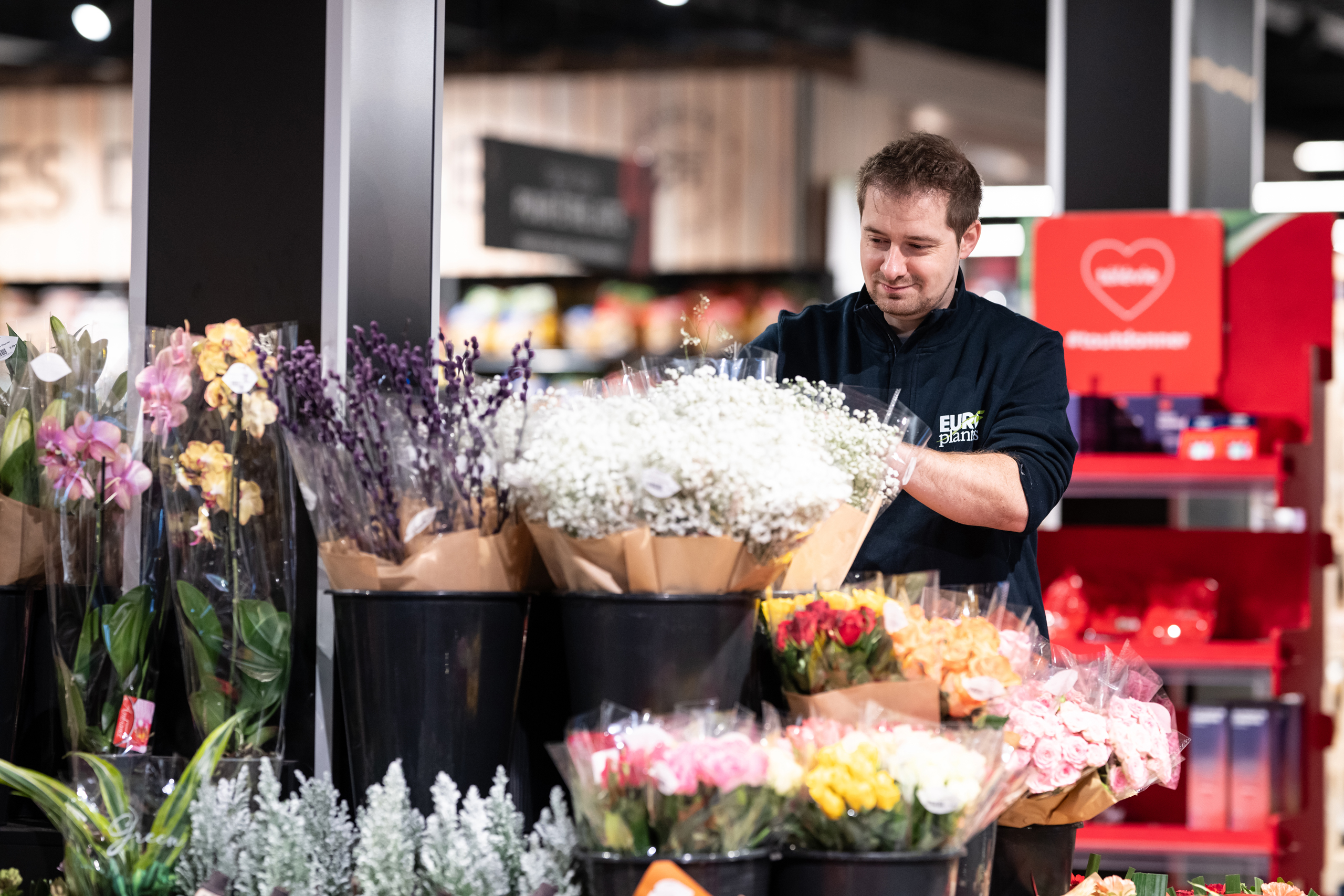 Europlantes - Spécialiste du Retail