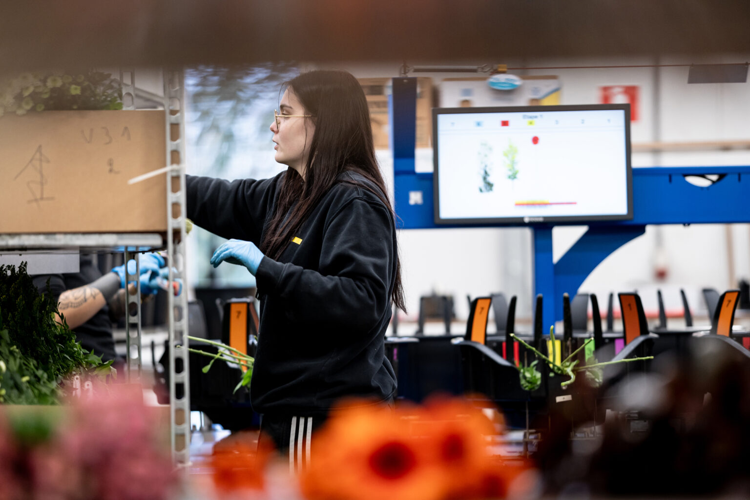 Employée de production trie des fleurs