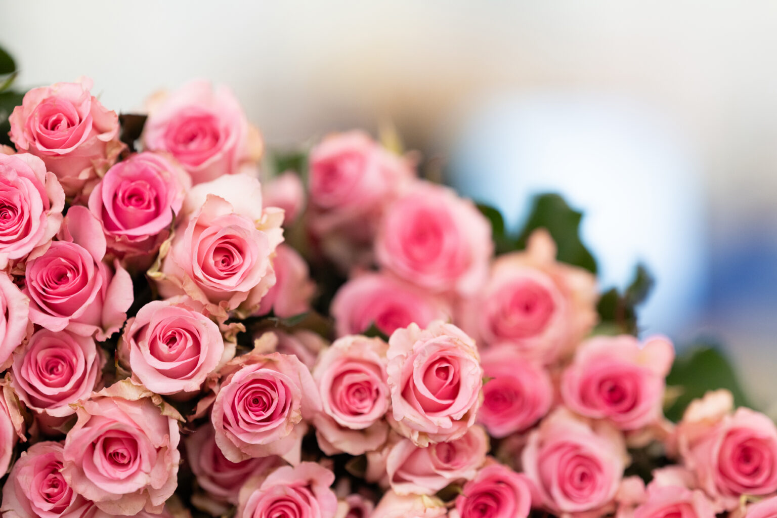 Bouquet de roses coupées